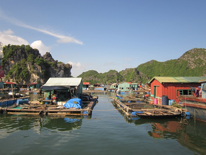 Trải nghiệm tuyệt vời trên vịnh Hạ Long tại làng chài Ba Hang